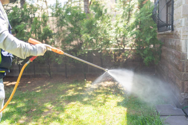 Seasonal Pest Control (e.g., summer mosquitoes, winter rodents) in Rapid City, SD